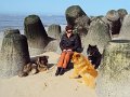 sylt (27)